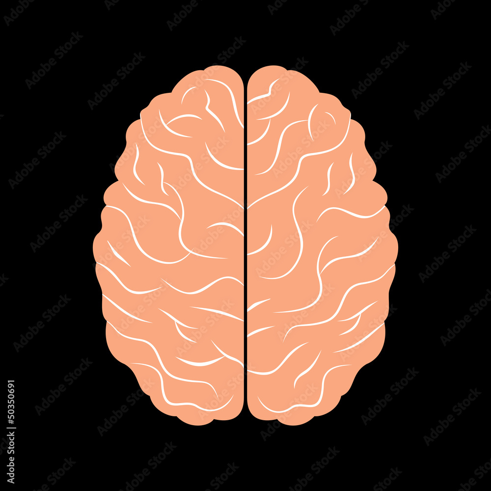 the brain with black background the brain with black background
