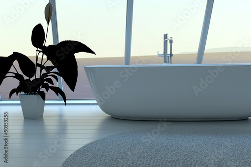 Exclusive Luxury Bathroom Interior with aerial view