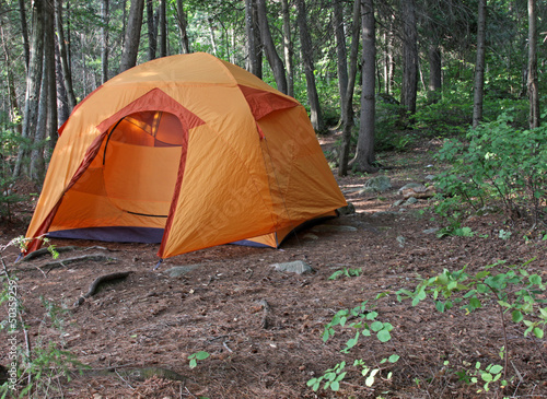 Orange Tent in a Forest