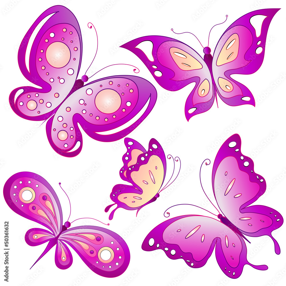 butterfly,butterflies vector butterfly,butterflies vector