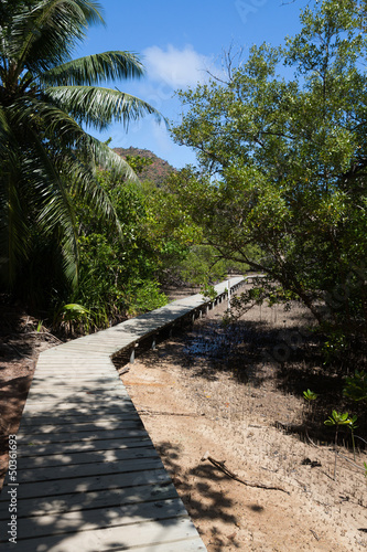 Chemin de promenade sur l'île Curieuse aux Seychelle