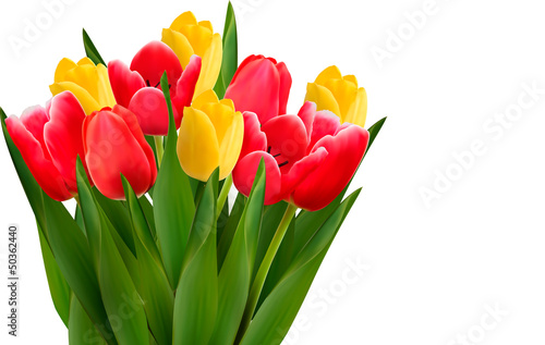 Fototapeta Naklejka Na Ścianę i Meble -  Bouquet with red and yellow flowers in white background. Vector