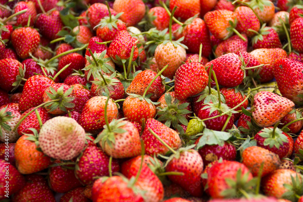 strawberry strawberry