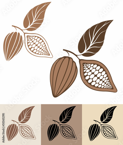 Cocoa