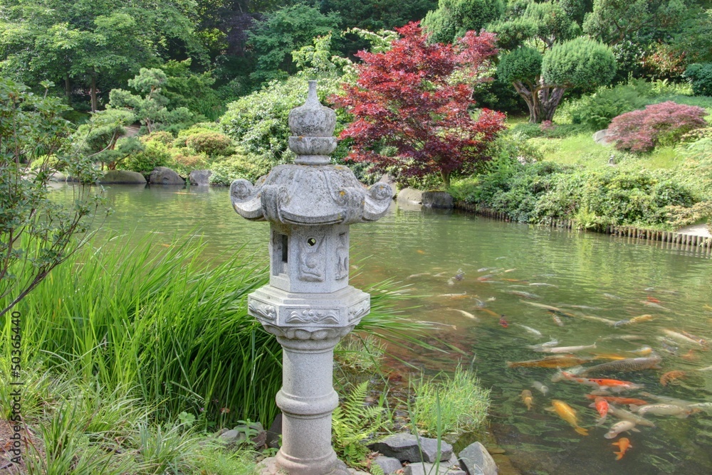 jardin japonais