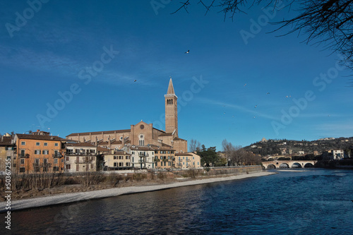 Verona San Anastasia © scimmery1
