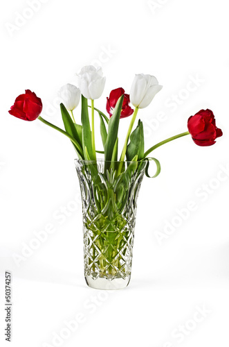 Beautiful tulips in a vase isolated over white