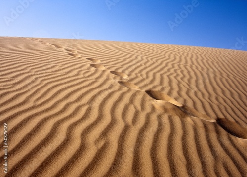 Sandy desert, Sahara, Tunisia