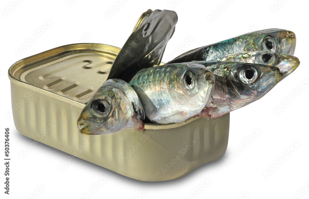Fish in cans, Canned sardines isolated on white background