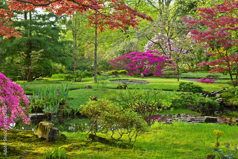 Japanese garden
