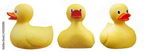 Obraz na plátně rubber duck