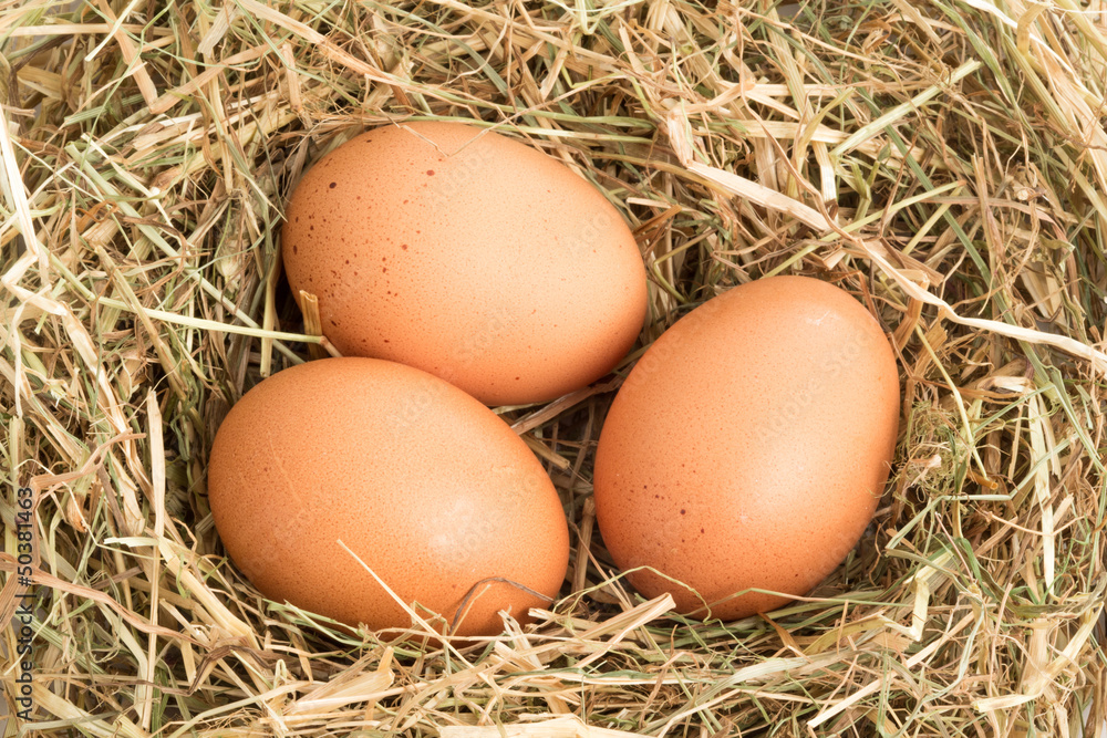 Three eggs Three eggs