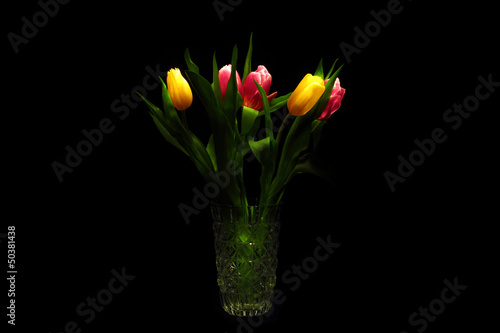 Fototapeta Naklejka Na Ścianę i Meble -  Five glowing tulips on the dark background