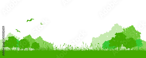 Landschaft Wiese Laubbäume