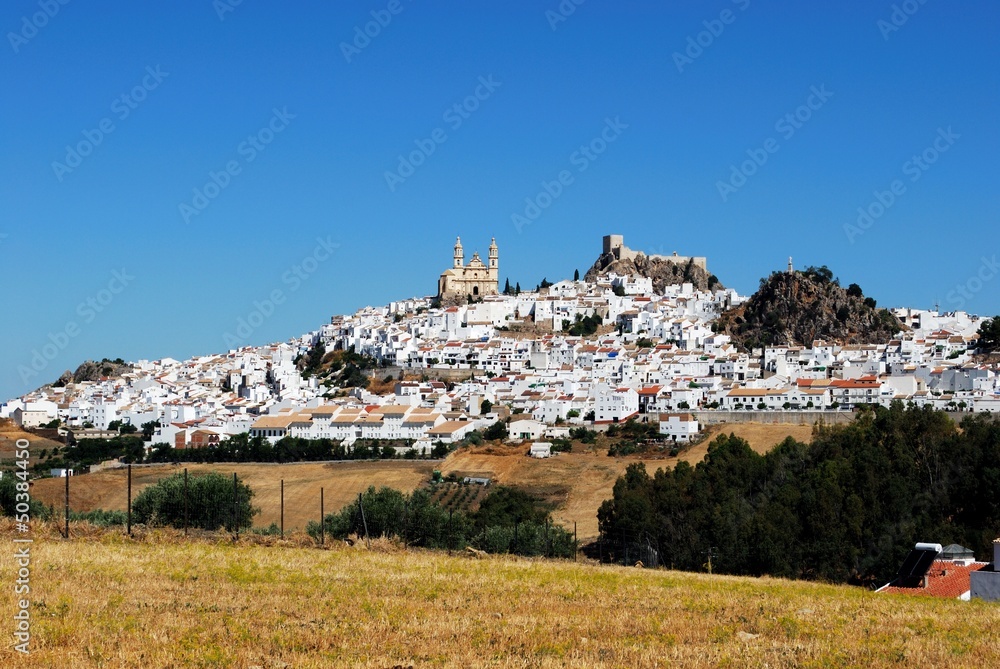 White village, Olvera, Andalusia © Arena Photo UK