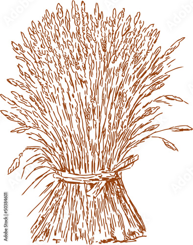 sheaf of wheat