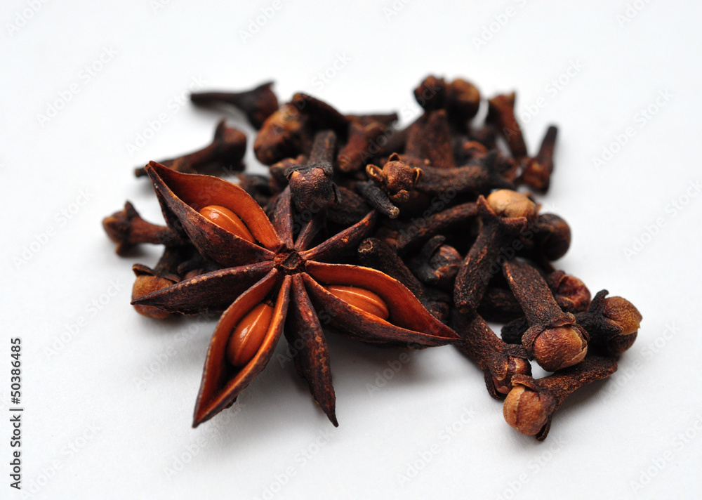 Obraz premium spice, clove and star anise