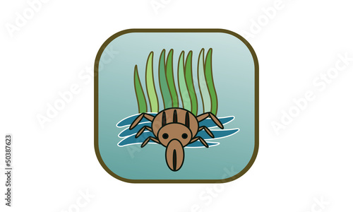 Milfoil