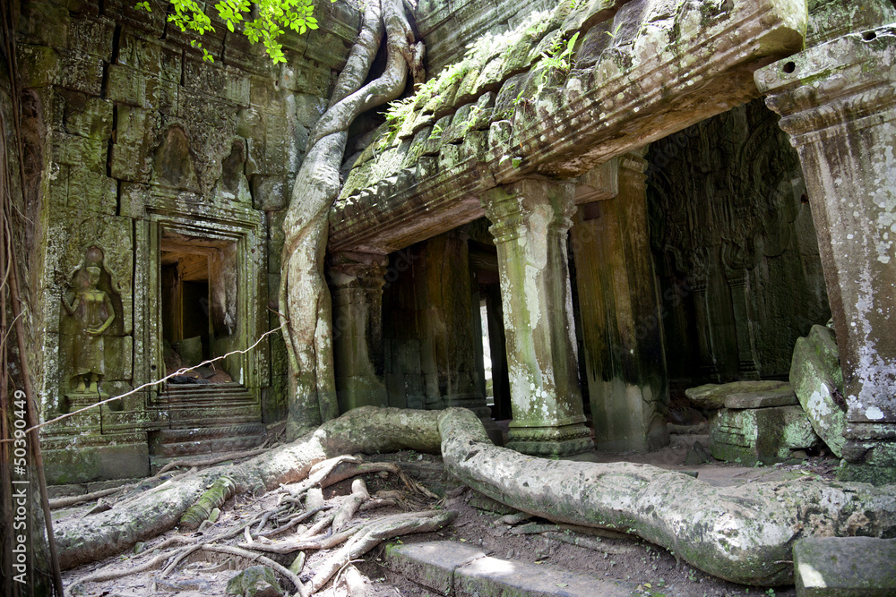 Ta Prohm Ta Prohm