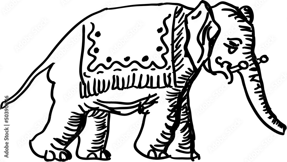 Elephant Elephant