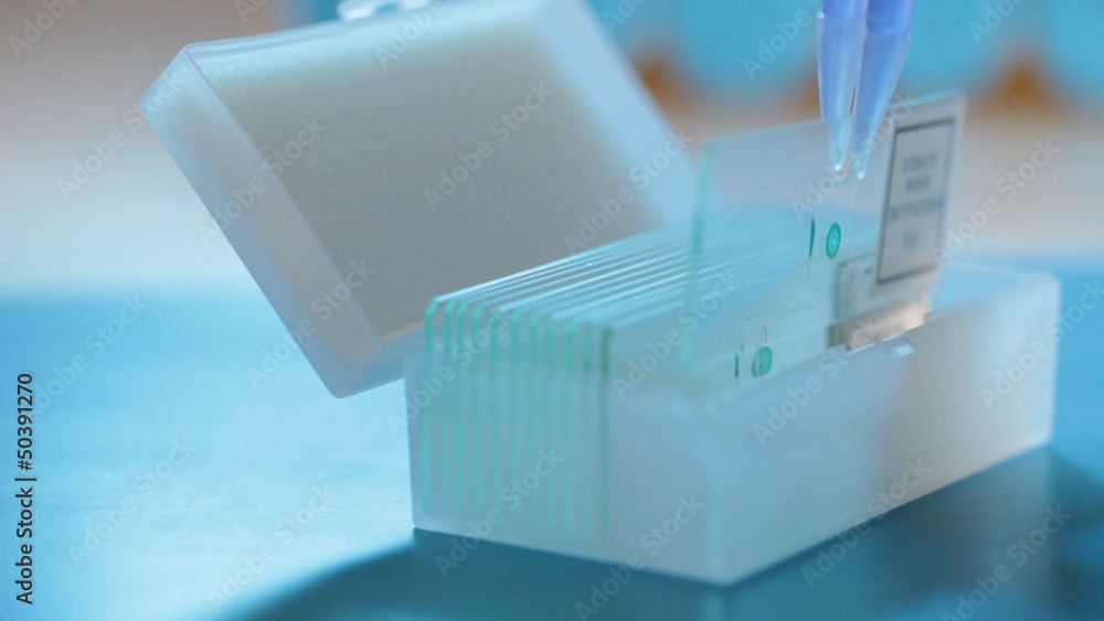 Work in the microbiology laboratory Work in the microbiology laboratory