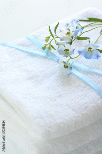 Delphinium on white towel for laundry image