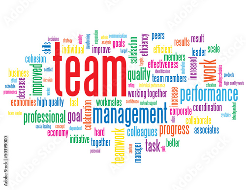  TEAM  Tag Cloud  management performance goals targets teamwork 