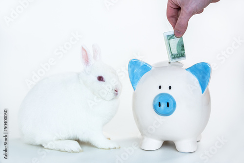 White bunny sitting beside blue and white piggy bank with hand p