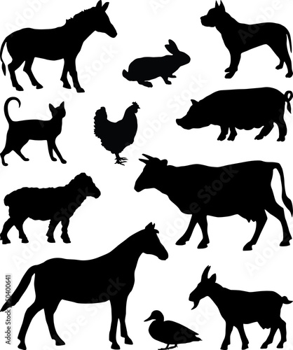 silhouettes of animals