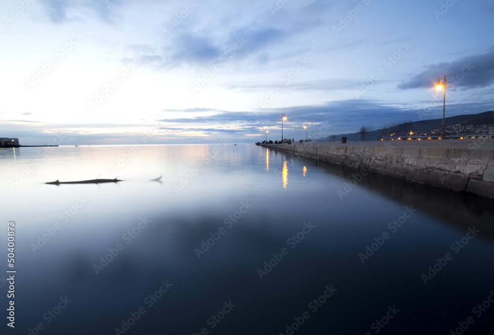 Audace wharf in Trieste