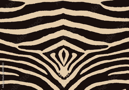 zebra.pelliccia