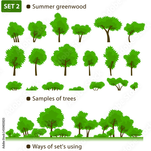 Summer greenwood. Set 2.