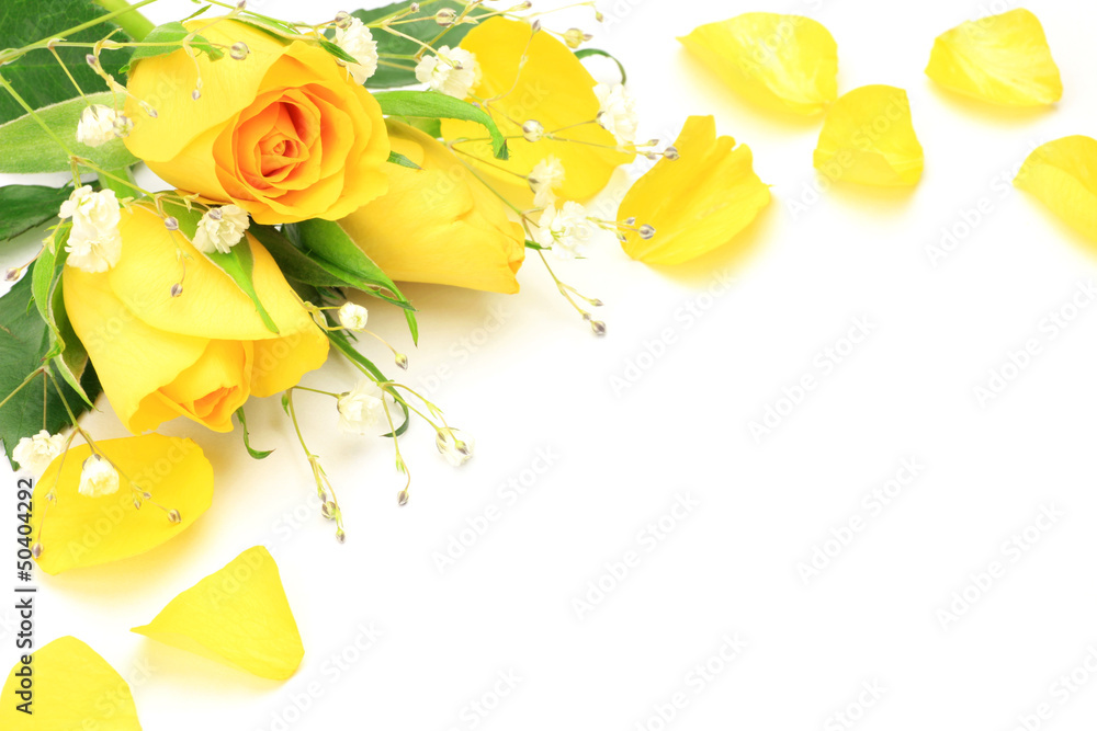 Obraz premium yellow rose and haze grass