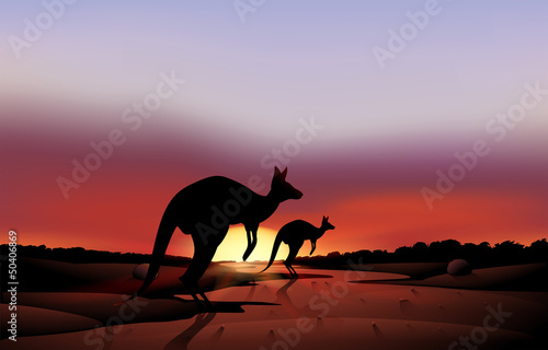 A big and a small kangaroo in the desert