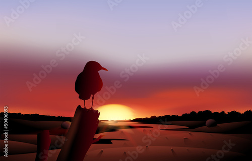 A bird in a sunset view of the desert
