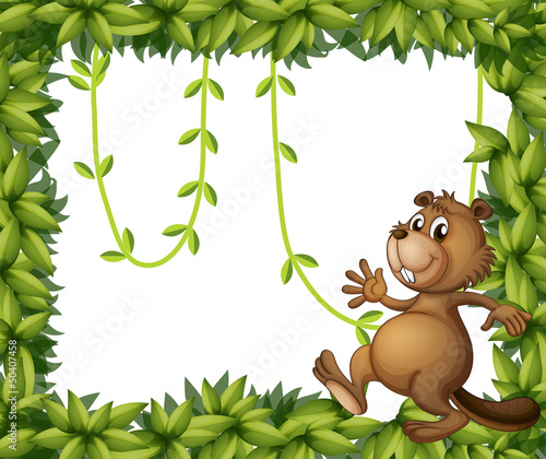 A beaver and the empty frame with vine plants