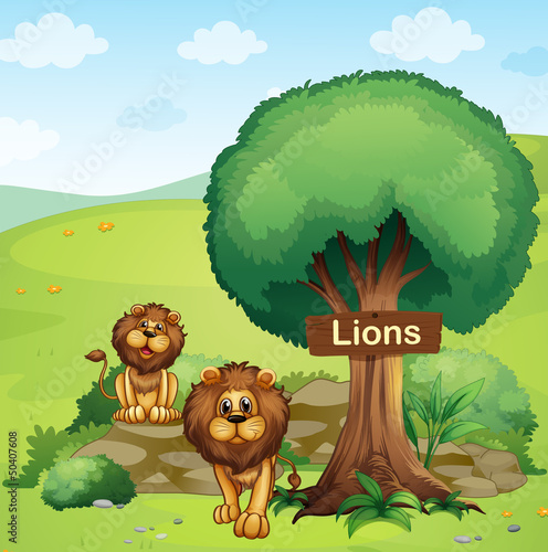 A signboard posted in a tree and the two lions