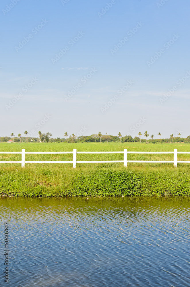 White fence with green field White fence with green field