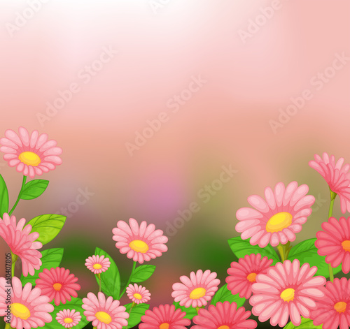 A view of the beautiful pink flowers