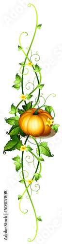 A pumpkin decor