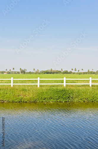 White fence with green field
