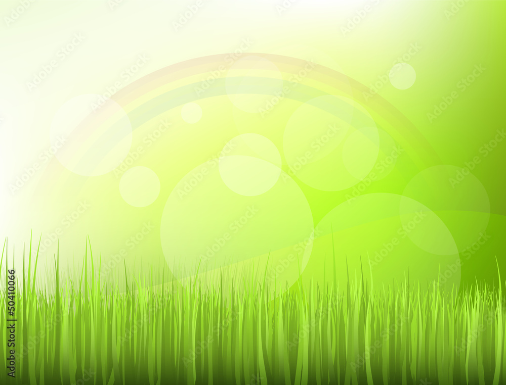 Fototapeta premium Morning scenery (rainbow in the grass)