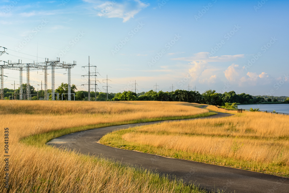 Fototapeta premium Winding Path around Dry Grass
