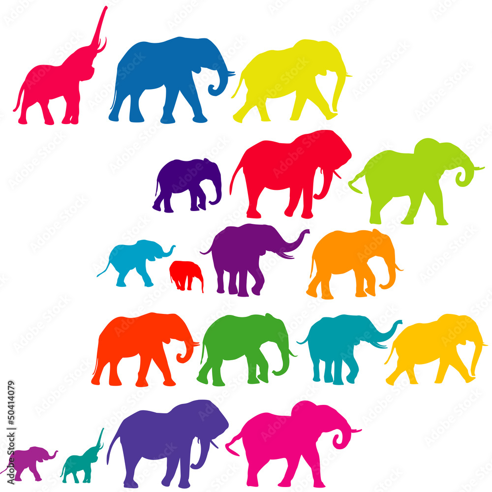 Set of elephant colored silhouettes Set of elephant colored silhouettes