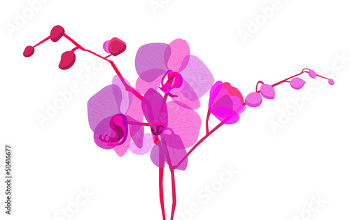 violet orchids twigs