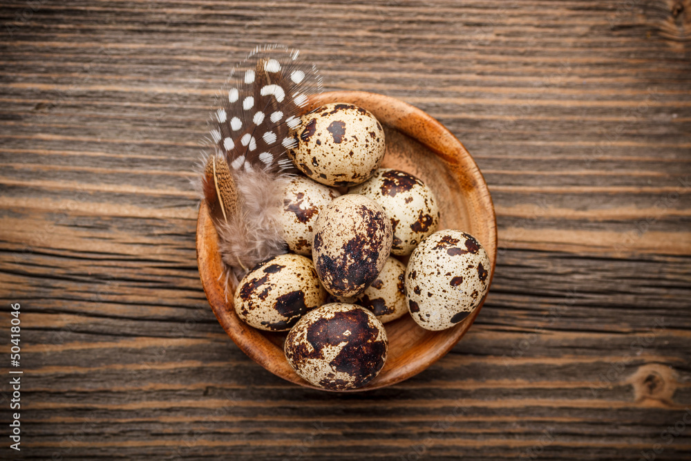 Quail eggs with pen Quail eggs with pen