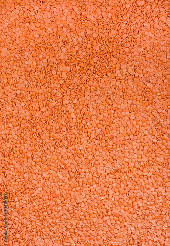 Orange lentil background