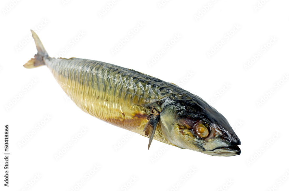smoked mackerel smoked mackerel