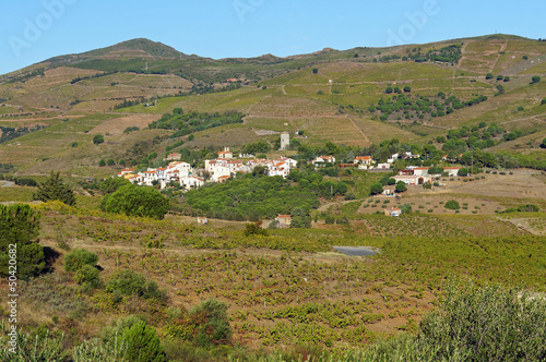 Mediterranean village of Cosprons and vineyards, Languedoc Roussillon, Pyrenees Orientales, France