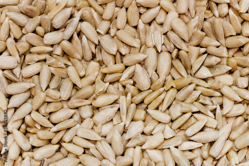Sunflower seeds texture as background Sunflower seeds texture as background